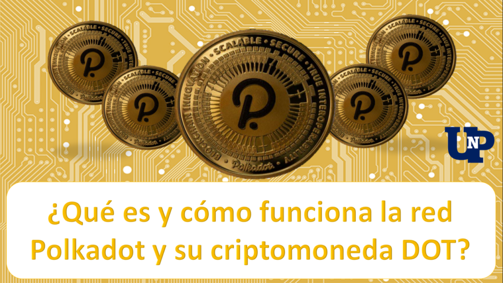 Qué es y cómo funciona la red Polkadot y su criptomoneda DOT