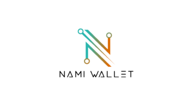 Charles Hoskinson finalmente habla sobre los problemas de Nami Wallet
