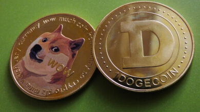 La ballena de Dogecoin acumulan 155 millones de DOGE