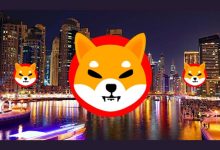 Gran señal de compra para SHIB: Las ballenas desafían el crash