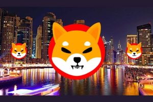 Gran señal de compra para SHIB: Las ballenas desafían el crash