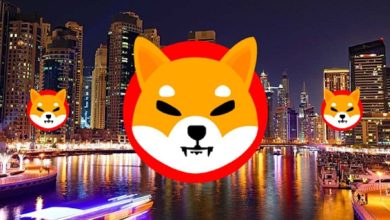 Gran señal de compra para SHIB: Las ballenas desafían el crash