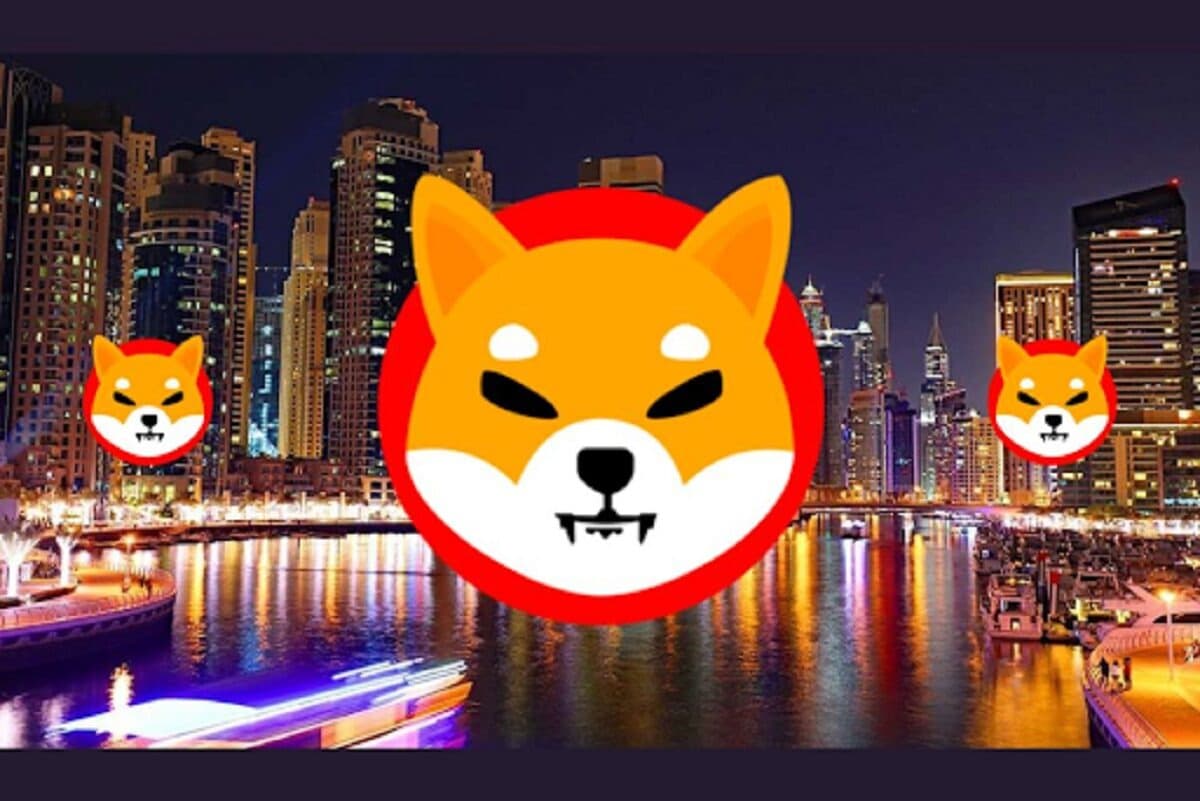 ▷ Gran señal de compra para SHIB: Las ballenas desafían el crash » 2025 Uriel N Peñaloza 🥇 Gran señal de compra para SHIB: Las ballenas desafían el crash