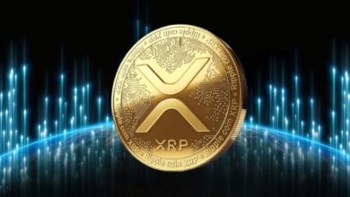 Ballenas han movido más de 380 millones de XRP en pocos minutos