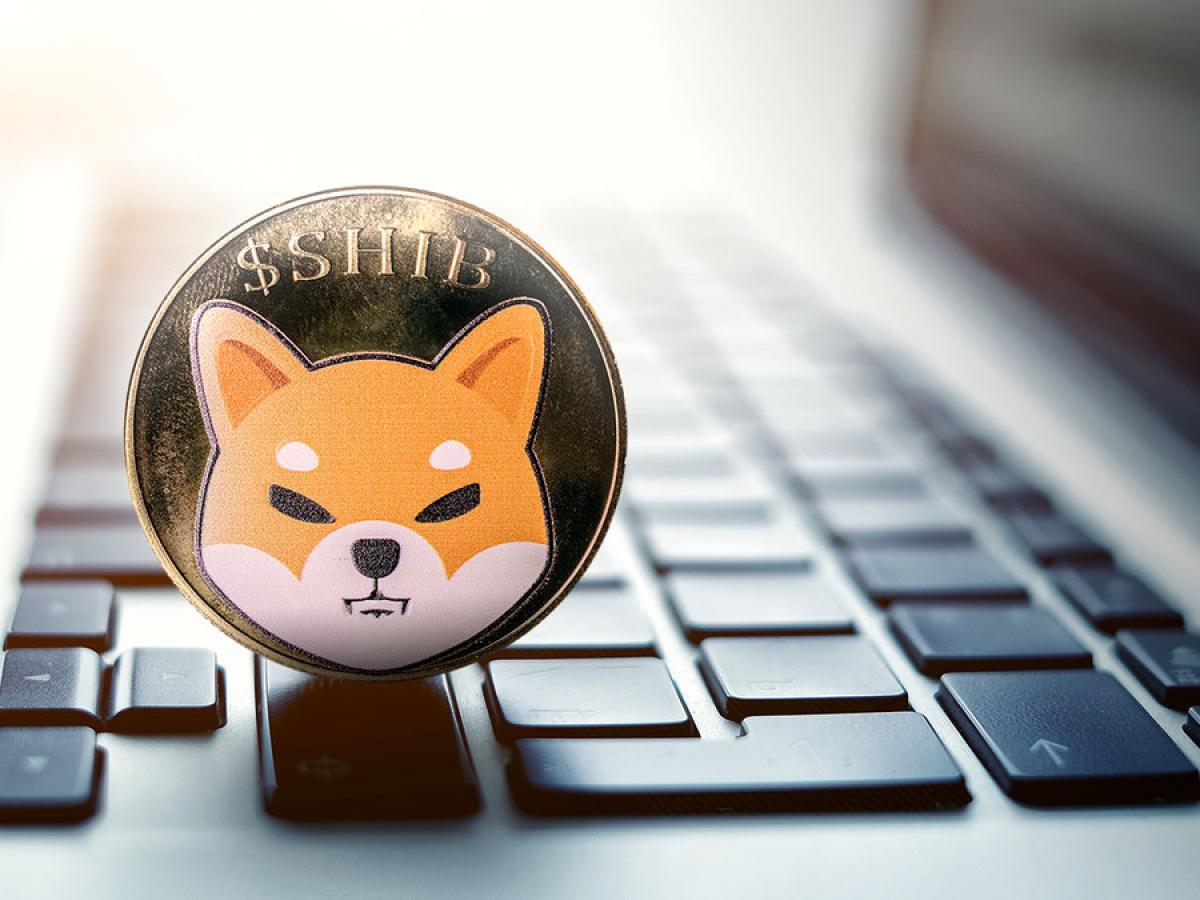 ¿Shiba Inu logró aumentar en un 180% sus compras? Esto sabemos