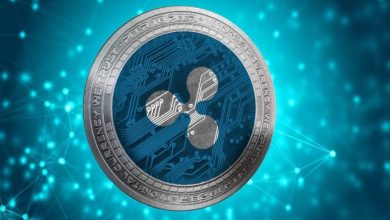 Ripple: Misteriosa Transferencia de $500M en XRP Sacude el Mercado