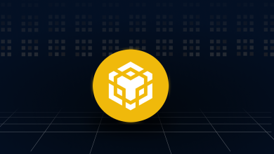 El giro de CEA: Una apuesta de $1.25B en una tesorería de BNB