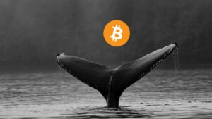 Reaparecen ballenas de Bitcoin y mueven 230 millones de dólares