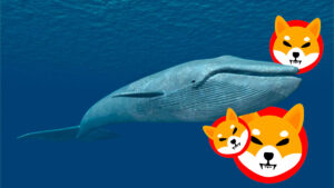 Una ballena mueve millones de SHIB: ¿Viene aumento?