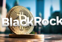 BlackRock asegura que la inversión en ETF de Bitcoin proviene de los CryptoLovers