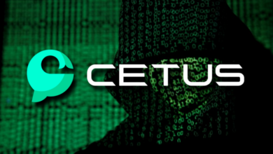 Caso Cetus Protocol: El RASTRO de los $160M Robados Lleva a Billetera Multi-Firma (ÚLTIMA HORA)