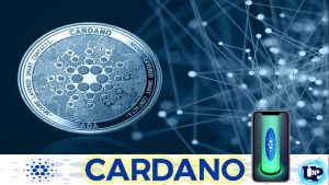 ▷ Todas las Entradas » 2025 Uriel N Peñaloza 🥇 Cardano