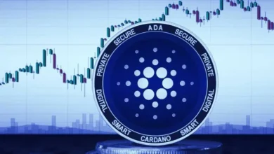 Cardano (ADA) cada vez más cerca de Plomin Hard Fork