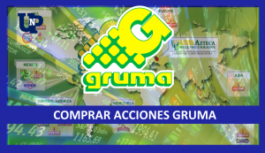▷ Todas las Entradas » 2025 Uriel N Peñaloza 🥇 Comprar Acciones Gruma 2022-2023