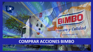 ▷ Todas las Entradas » 2025 Uriel N Peñaloza 🥇 Inversión Estratégica: Guía para Comprar Acciones de Grupo Bimbo en 2024-2025