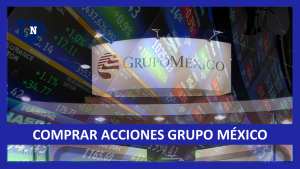 ▷ Todas las Entradas » 2025 Uriel N Peñaloza 🥇 Comprar Acciones de Grupo México 2022-2023