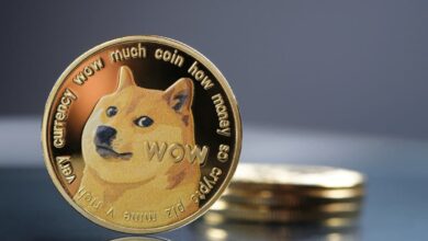 Dogecoin (DOGE) revela un importante hito en la adopción