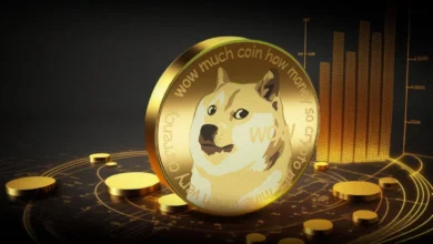 Dogecoin recibirá un 32% en usuarios activos