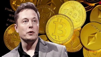 ¡ALERTA TESLA! Acciones Caen 14%, ¿Debería Musk Comprar BITCOIN?