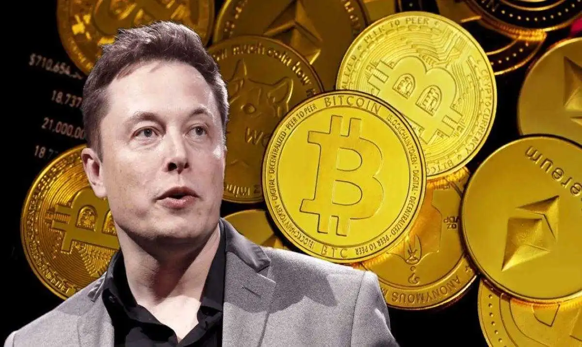 ¡ALERTA TESLA! Acciones Caen 14%, ¿Debería Musk Comprar BITCOIN?