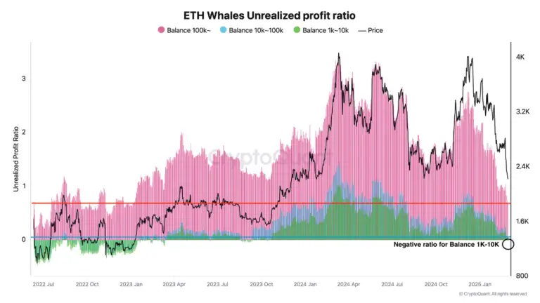 Ethereum Whale Unrealized Profit 768x432 1