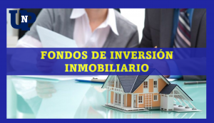 ▷ Todas las Entradas » 2025 Uriel N Peñaloza 🥇 Fondos de inversión inmobiliario