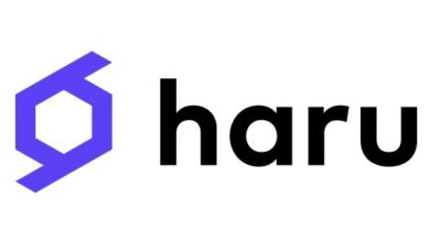 haru invest