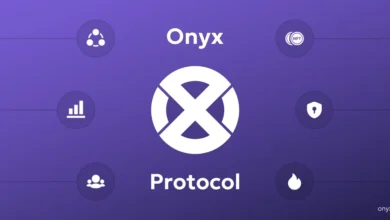 Onyx Protocol es victima de robo por 2 millones de dólares tras uso de un exploit