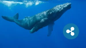 ▷ Todas las Entradas » 2025 Uriel N Peñaloza 🥇 Las ballenas de XRP siguen realizando movimientos millonarios