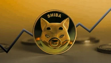 Shiba Inu logra llevar la quema de tokens hasta un 840% y alcanza su precio más alto