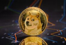 Las ballenas de Dogecoin se activan y compran un 899 % de DOGE