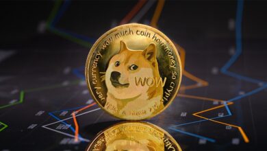 Las ballenas de Dogecoin se activan y compran un 899 % de DOGE