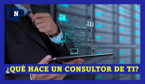 ▷ Todas las Entradas » 2025 Uriel N Peñaloza 🥇 ¿Qué hace un consultor de TI?