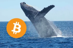 ▷ Todas las Entradas » 2025 Uriel N Peñaloza 🥇 bitcoin