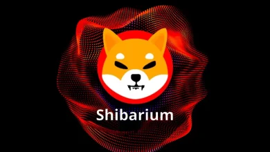 Shibarium: Nueva Actualización Anti-Hack de Shiba Inu