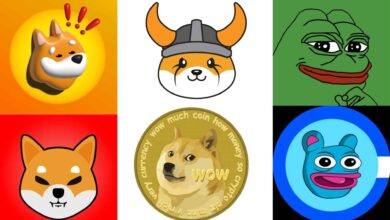 De los Memes a Wall Street: Analista de Bloomberg Fija 2026 para Posible ETF de Memecoins