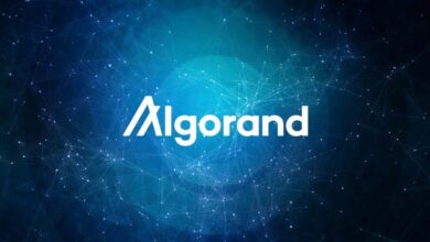 El precio de Algorand (ALGO) se dispara más de un 30%