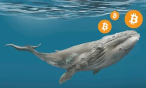 Ballenas impulsaron al Bitcoin