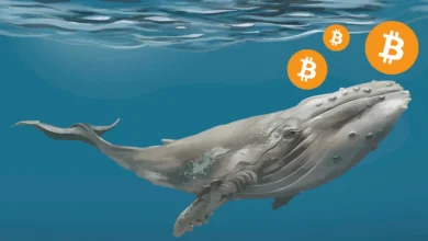 Ballenas impulsaron al Bitcoin