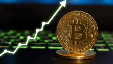 Bitcoin logra superar la barrera de los 30 mil dólares
