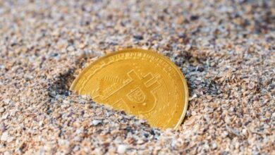 8,000 Bitcoins Perdidos: La Obsesiva Lucha de James Howell (UK) por su Tesoro Digital