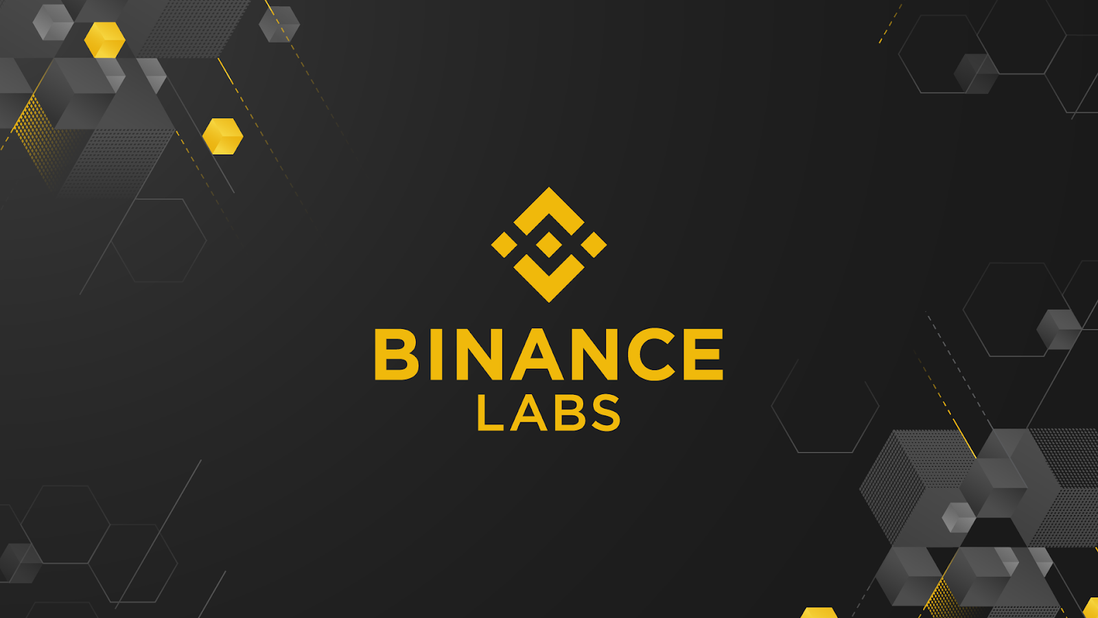 Binance Labs invertirá en la red descentralizada llamada Sahara AI