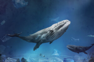Una ballena transfiere 4,5 billones de SHIB