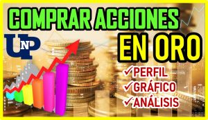 ▷ Todas las Entradas » 2025 Uriel N Peñaloza 🥇 Comprar Acciones en Oro 2021-2022