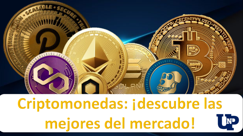 Criptomonedas ¡descubre Las Mejores Del Mercado 🥇 【 Febrero 2024】