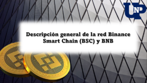 Descripción general de la red Binance Smart Chain (BSC) y BNB