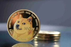 ▷ Todas las Entradas » 2025 Uriel N Peñaloza 🥇 DOGE podría aumentar su valor actual en un 200%