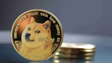 DOGE podría aumentar su valor actual en un 200%