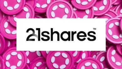 El ETF de Polkadot de 21Shares en espera: la SEC retrasa su veredicto