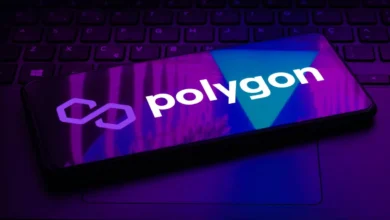 Polygon podría tener una subida inminente tras movimientos de ballenas